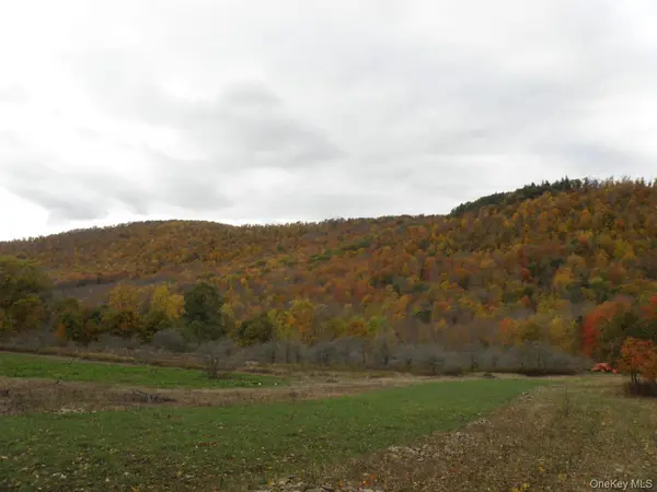 Gregory Hollow RD, Hamden, NY 13782