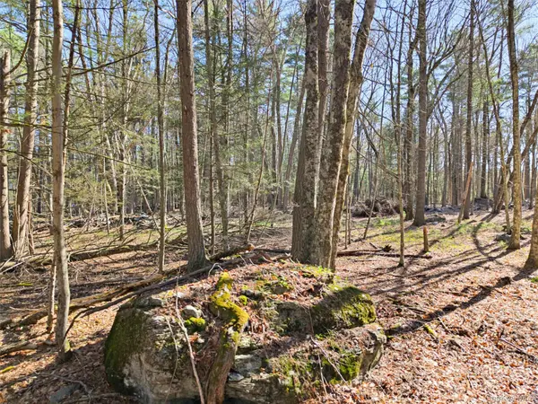 Crawford RD, Eldred, NY 12528