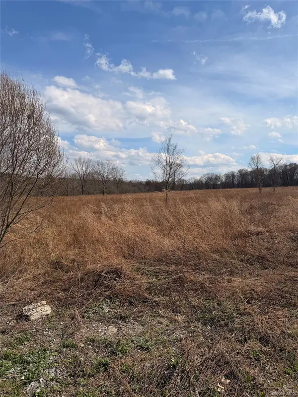 0 Route 55, Lagrangeville, NY 12540