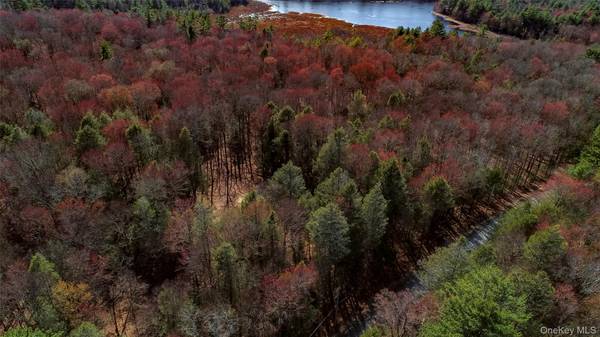 Lot 2 Deer Meadow RD, Bethel, NY 12720