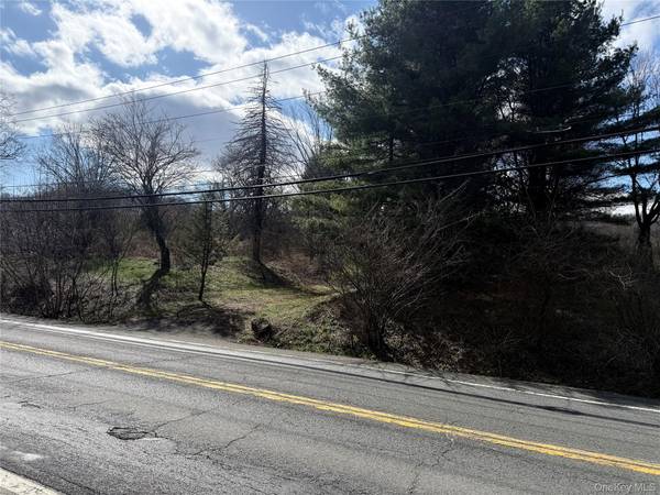 5019 Route 22, Amenia, NY 12501