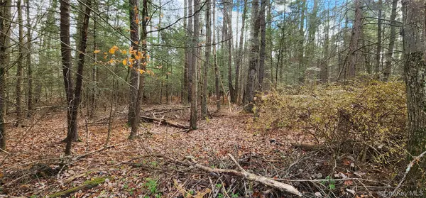 00 Mongaup RD, Monticello, NY 12701