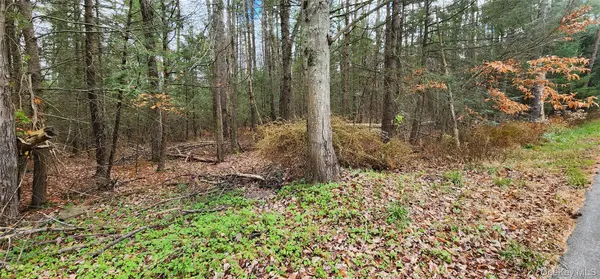 00 Mongaup RD, Monticello, NY 12701