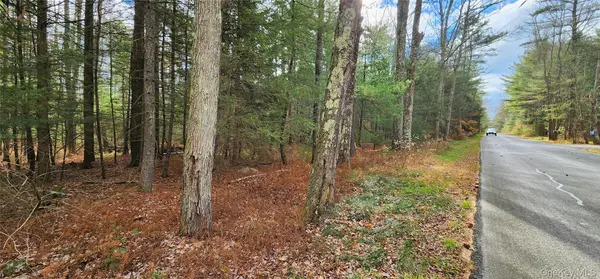 00 Mongaup RD, Monticello, NY 12701