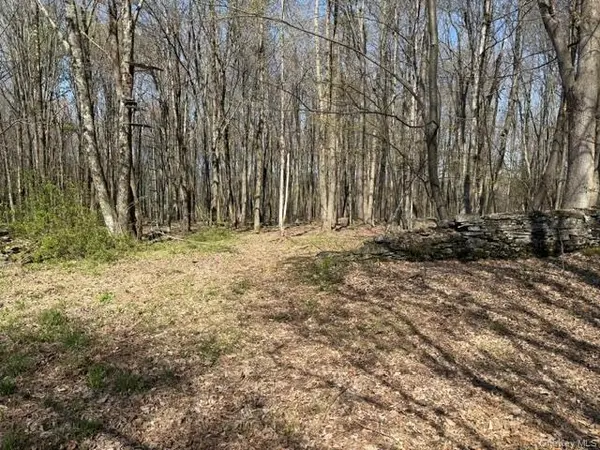 CHAFFEE, Liberty, NY 12754