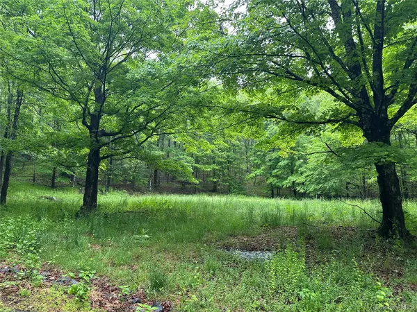 804 Hearts Content RD, Cairo, NY 12413