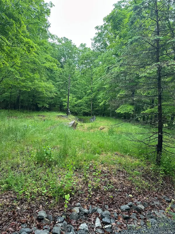 804 Hearts Content RD, Cairo, NY 12413