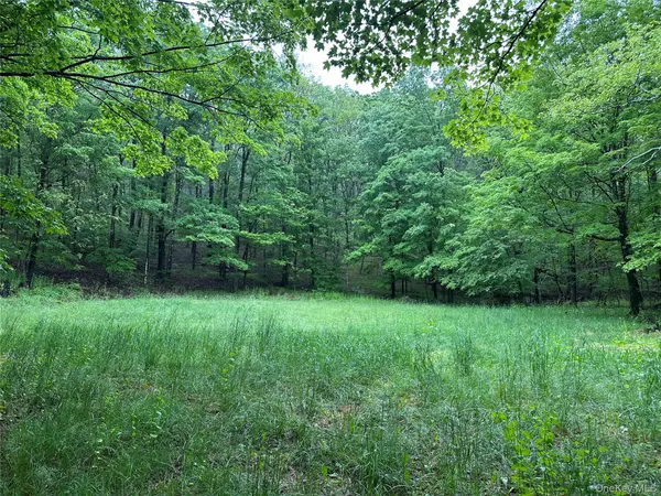 804 Hearts Content RD, Cairo, NY 12413