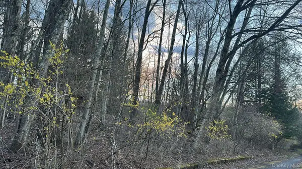 TBD Diane BLVD, Woodridge, NY 12789