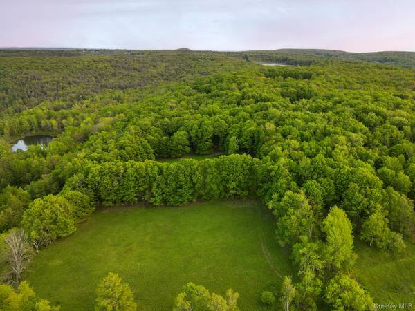 120 Snow Hill RD, Parksville, NY 12768