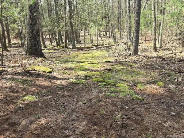 Lot 5 Evergreen DR, Saugerties, NY 12477