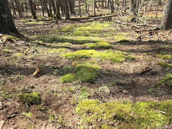 Lot 5 Evergreen DR, Saugerties, NY 12477