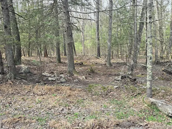 Lot 5 Evergreen DR, Saugerties, NY 12477
