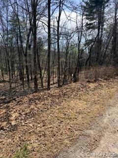 14 Old Country RD, Sparrowbush, NY 12780
