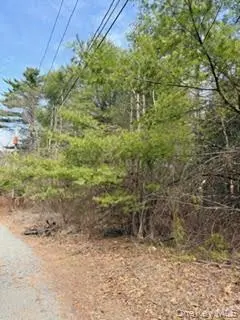 1304 Us Route 209, Cuddebackville, NY 12729