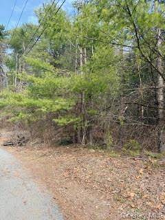 1304 Us Route 209, Cuddebackville, NY 12729