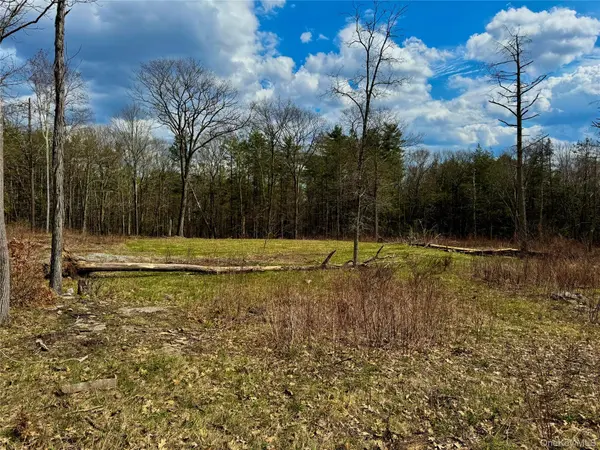 TBD City Route 403, Greenville, NY 12083