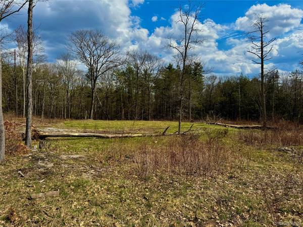 TBD City Route 403, Greenville, NY 12083