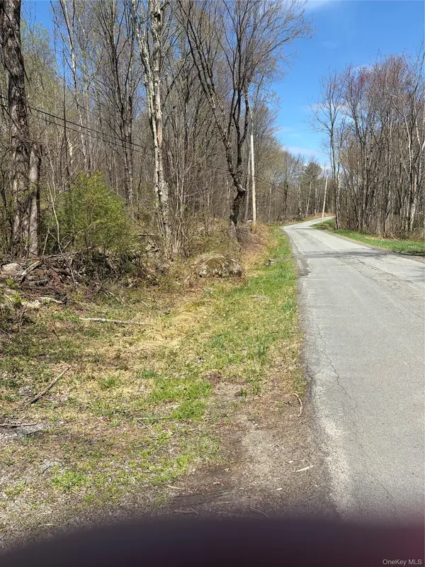 209 Stream Hollow, Fallsburg, NY 12428