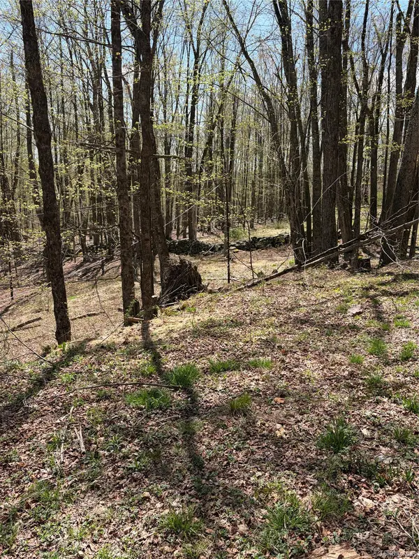 209 Stream Hollow, Fallsburg, NY 12428