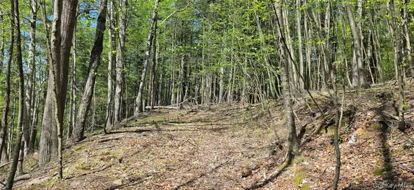 Hamilton RD, Monticello, NY 12701