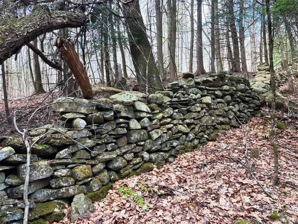 Lot 6.15 Little Beaver Creek LN, Call Listing Agent, NY 12093