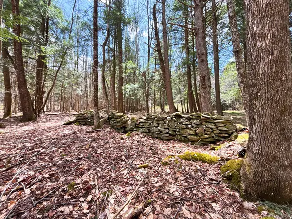 Lot 6.15 Little Beaver Creek LN, Call Listing Agent, NY 12093