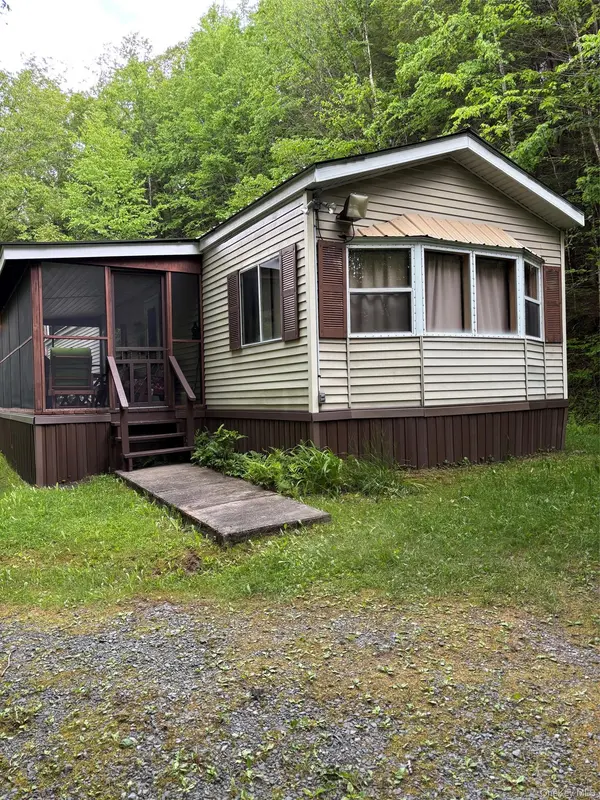 46 Elm Hollow RD, Livingston Manor, NY 12758