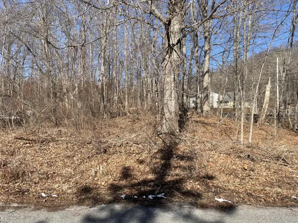 Route 52, Carmel, NY 10512