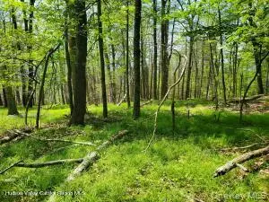 TBD Piney Lane, Cragsmoor, NY 12420