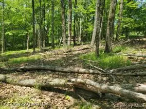 TBD Piney Lane, Cragsmoor, NY 12420