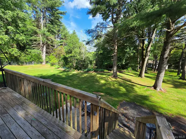 14 Andrew Paye RD, Glen Spey, NY 12770