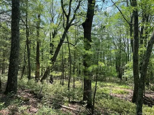 Lot 18 Hunczak BLVD, Glen Spey, NY 12737