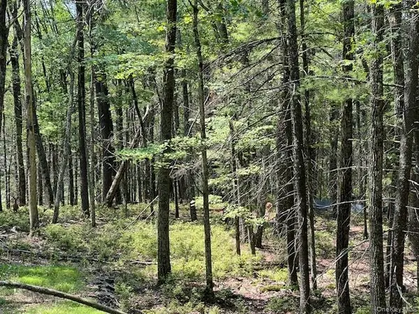 Lot 18 Hunczak BLVD, Glen Spey, NY 12737