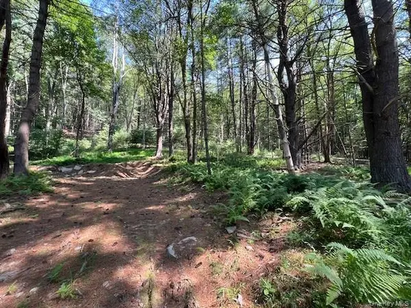 Lot 47.3 High RD, Glen Spey, NY 12737