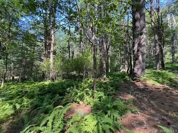 Lot 47.3 High RD, Glen Spey, NY 12737