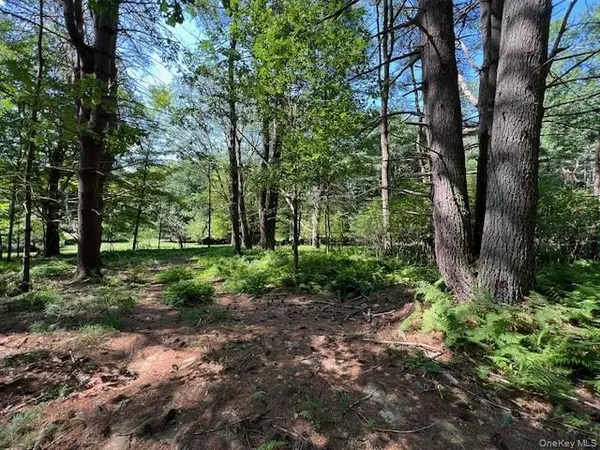 Lot 47.3 High RD, Glen Spey, NY 12737