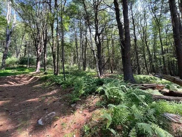 Lot 47.3 High RD, Glen Spey, NY 12737