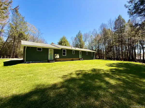 61 Pioneer DR, Swan Lake, NY 12783