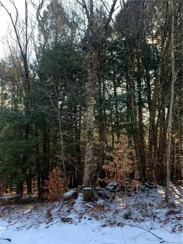 Friedman RD, Harris, NY 12742