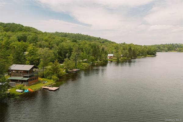 212 Trout Brook RD, Roscoe, NY 12776