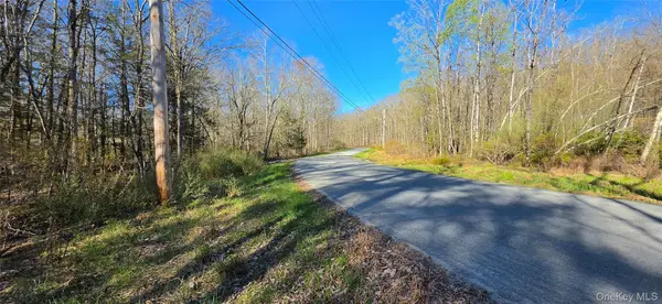 Lot 70 Cushetunk DR, Cochecton, NY 12726
