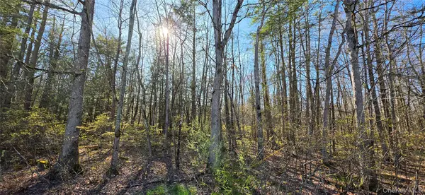 Lot 70 Cushetunk DR, Cochecton, NY 12726