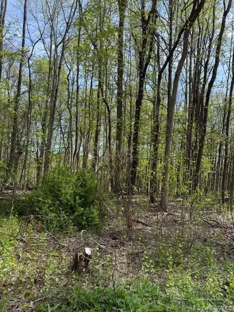 Route 300, Newburgh, NY 12550