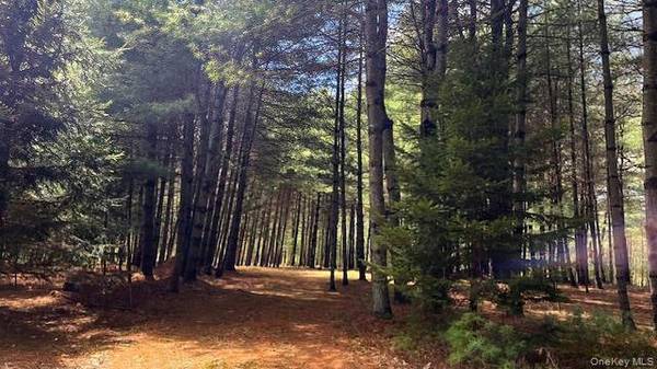Lot 12 White RD, Glen Spey, NY 12737