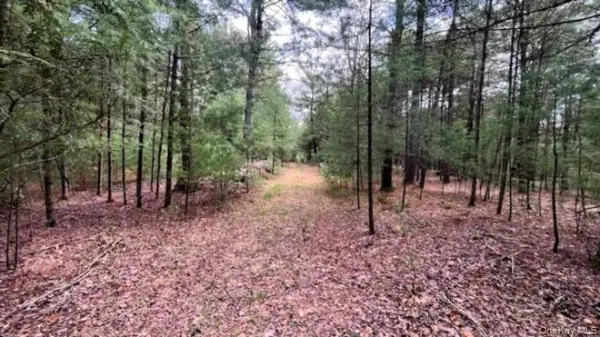 Lot 12 White RD, Glen Spey, NY 12737