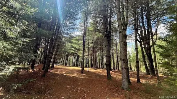 Lot 12 White RD, Glen Spey, NY 12737