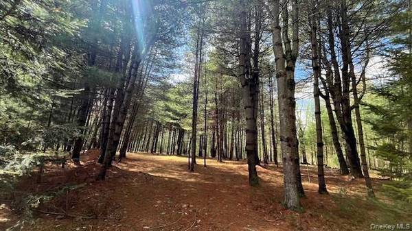 Lot 12 White RD, Glen Spey, NY 12737