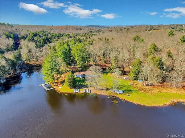 122 Jaketown RD, Swan Lake, NY 12783