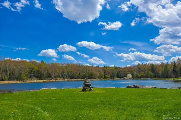 235 Cantrell RD, Monticello, NY 12701